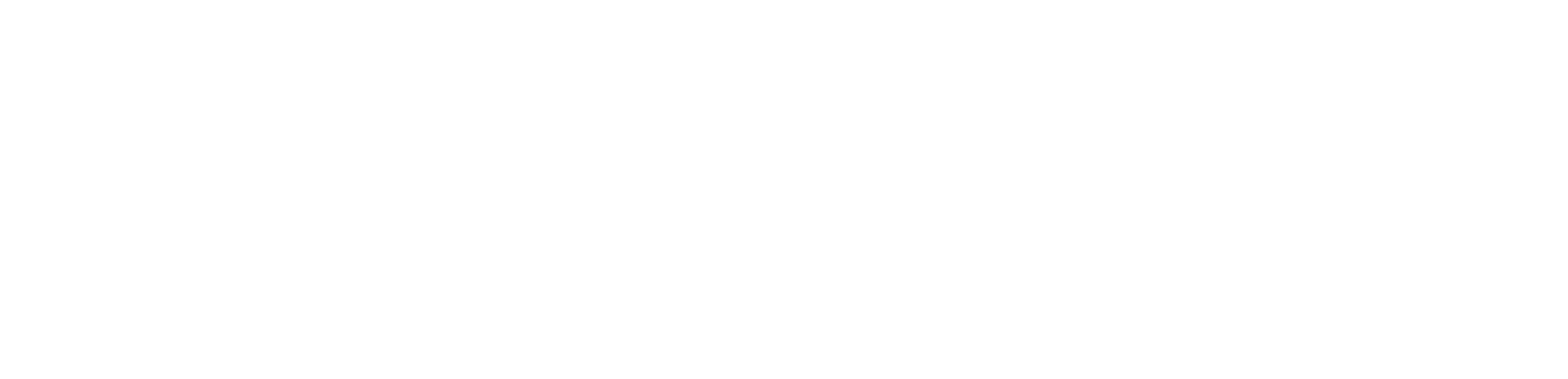VV-logo-CMYK-With-Name-One-Line-Dark-BG